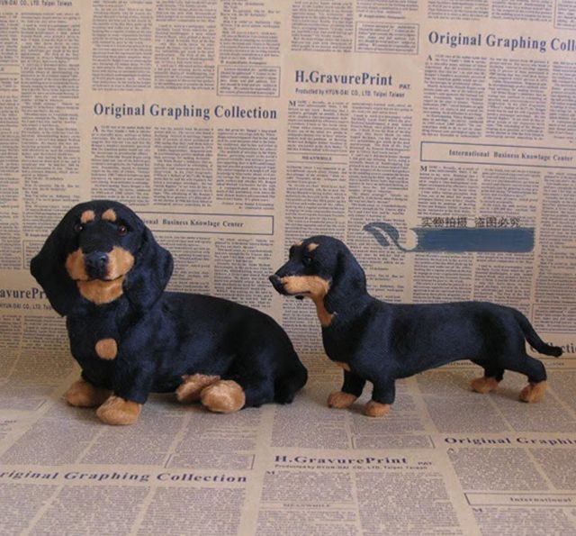 πΆ The Dachys β Emotional Healing on Demand
